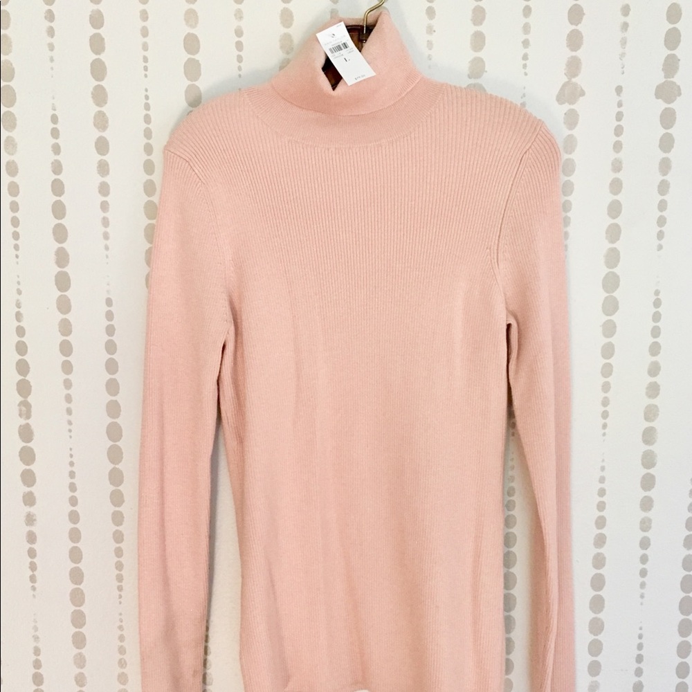 Champagne Pink Knit Turtleneck